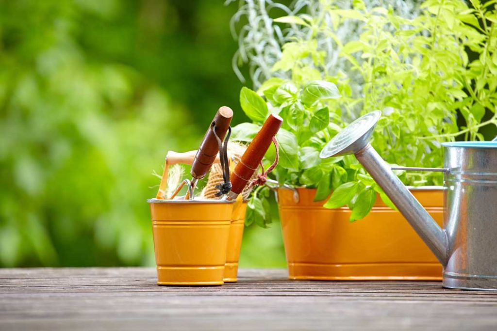 Home Decor and Garden category